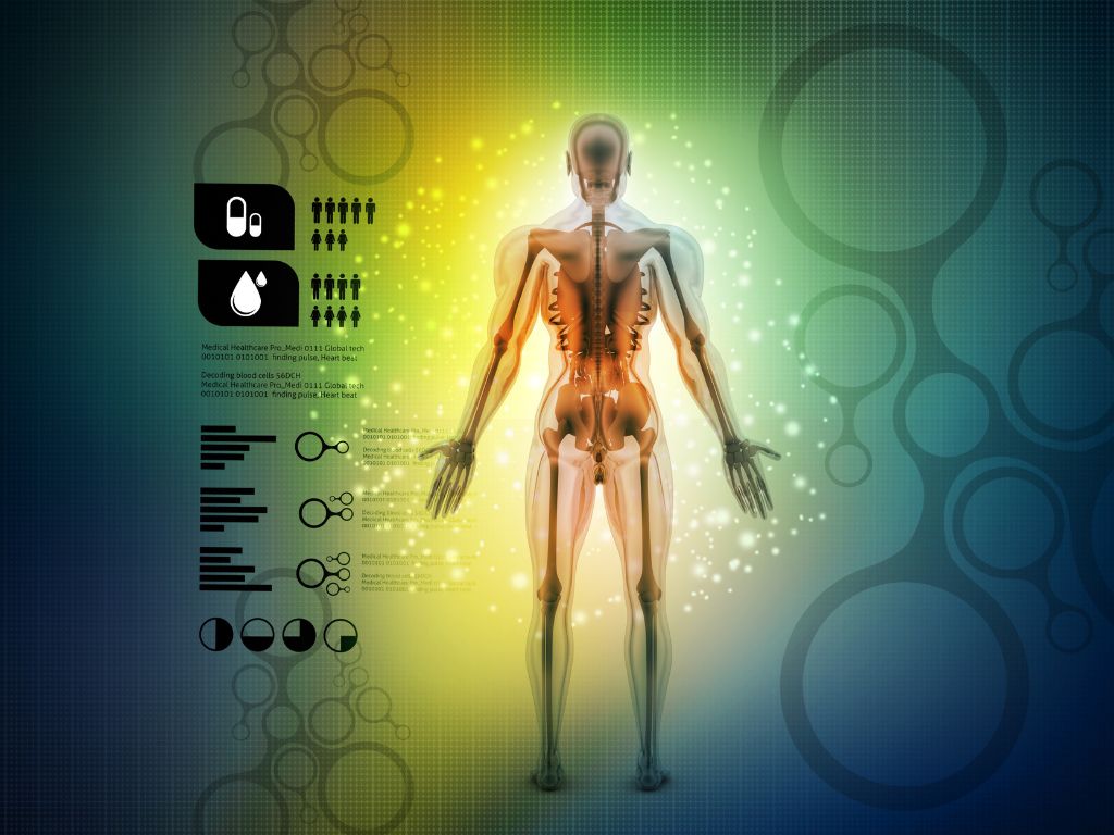 Nutrition Philosophy